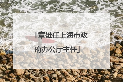 章雄任上海市政府办公厅主任